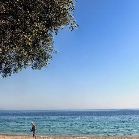 Sunrise By The Sea * Barbati